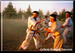 Master Yoshitaka Funakoshi