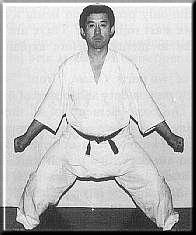 Kiba Dachi knee tension