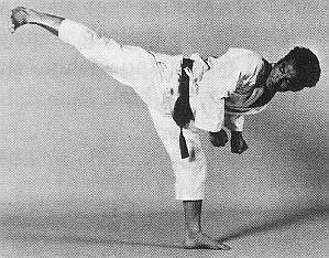 Ushiro Geri full extension