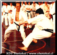 Sensei Mitsusuke Harada — Technical Demonstration