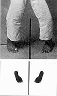 Hachiji Dachi natural stance
