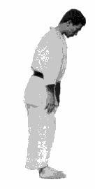 Ritsu-rei standing bow demonstrated by Aoki Sensei