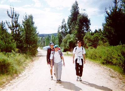 Forest Walk and Conditioning
