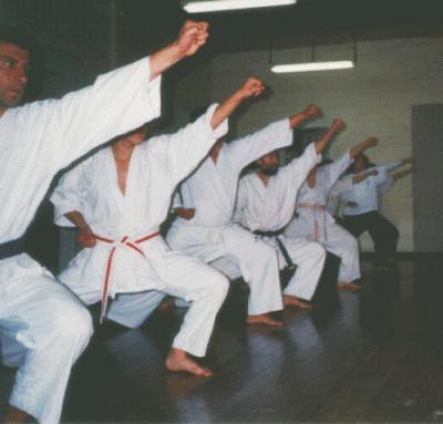 Kihon Dojo — Fundamental Practice