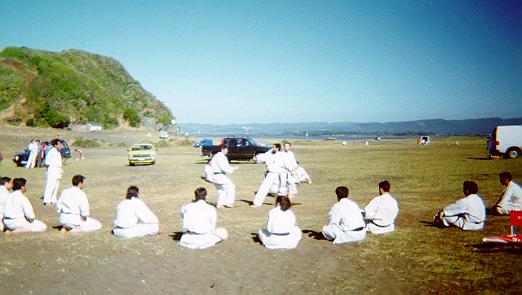 Matsuri 96 Demonstration