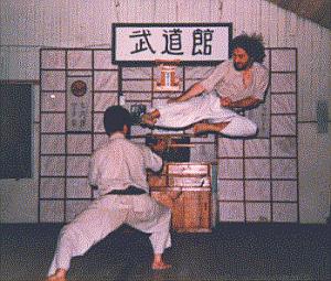 Sensei Humberto Heyden — Tobigeri Aerial Kick