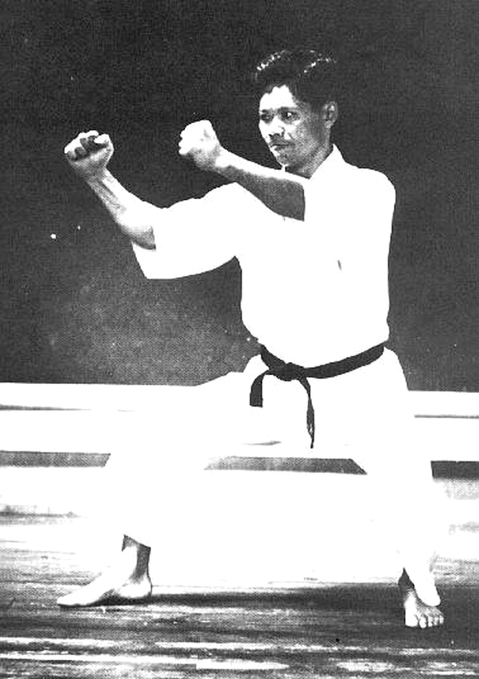 Master Yoshitaka Funakoshi - Kiba Dachi Low Stance