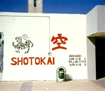 Making a Shotokai Karate Budo Mural at Universidad de Concepción